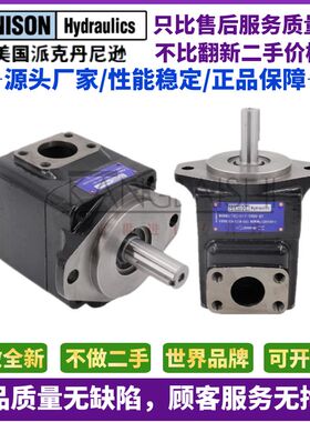 DENISON丹尼逊T6C-010-1R00派克单双联泵液压高压叶片油泵T6D T6E