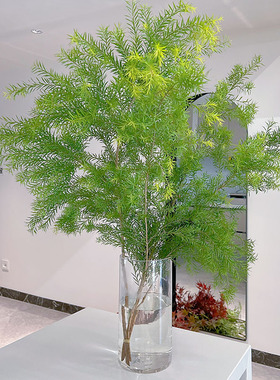 飘逸感氛围感满满春天的色彩绿色千层金鲜花云南斗南直发插花水培