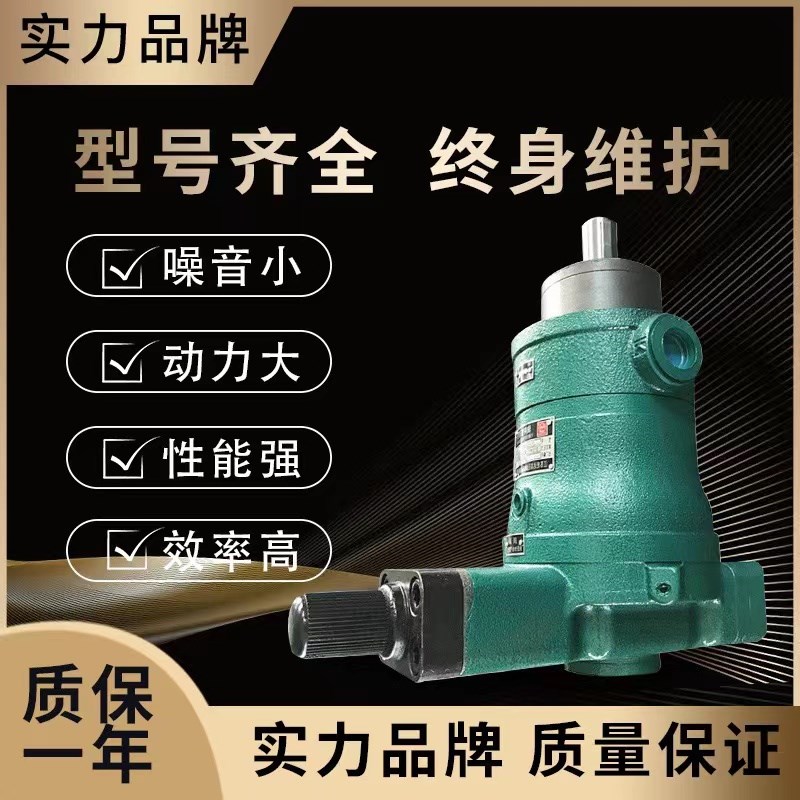 售启东上高10/16/25/32/40/63/80/100/160/250MCY14-1B轴向柱塞泵