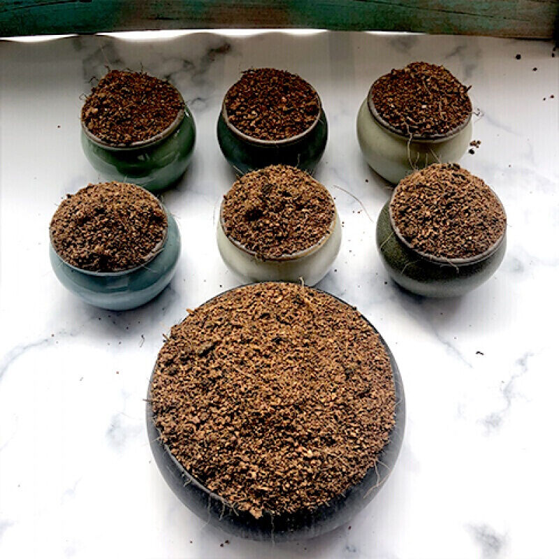 柠檬树盆栽专用土壤通用营养土家用室内绿植弱酸性沙种植泥土肥料