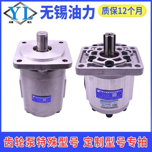 合WMAGA-102长源液压齿轮油泵三吨叉C/车泵双联泵CBNCB/CBF/BQ/CB