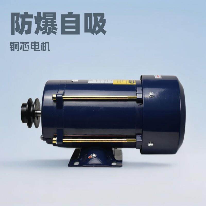 嘉豪加油机油泵厂价卧防爆自吸加JH-T20油泵电式大功铜芯机率防爆
