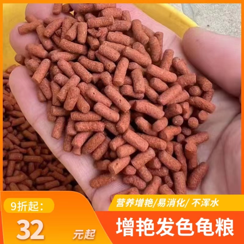 速发发/饲料龟粮色红面/巨头/窄桥/小青/斑纹/白唇/果核/蛋盔窄桥