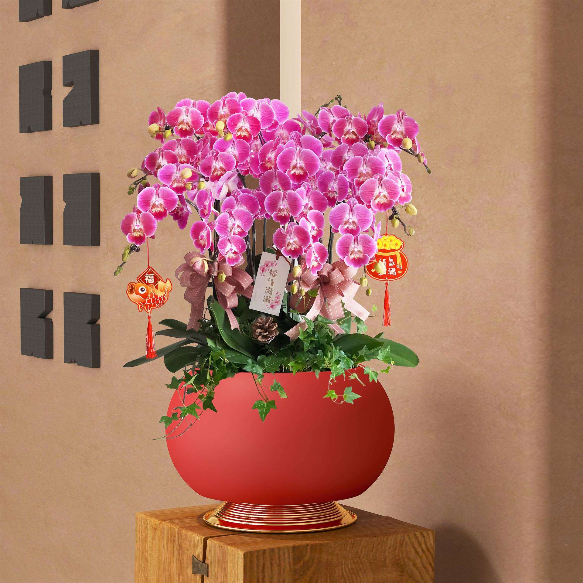年宵金盆圆形蝴蝶兰花盆冬青银柳网红插花花器客厅酒店前台摆件