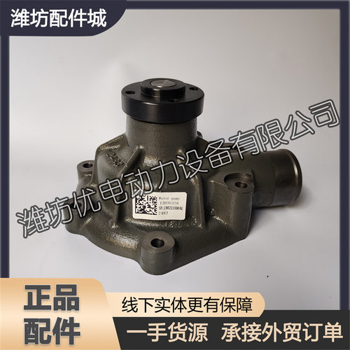 潍坊226B潍柴道依茨船用柴油机