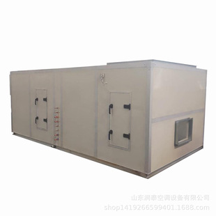 核酸检测实验室恒温恒湿机组叠加式净化型全新风恒温恒湿机组