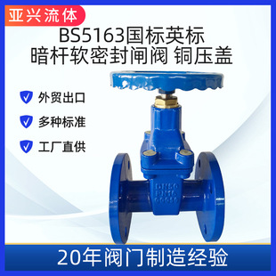 BS5163暗杆手动弹性座封闸阀软密封闸阀铸铁闸阀DN100天津阀门