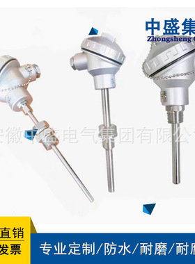 铠装热电阻WZPK-248 L=100mm -200℃~450℃ PT100材质304