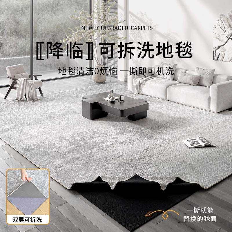 地毯客厅可机洗双层可拆洗2024新款轻奢高级感沙发茶几加厚地垫子