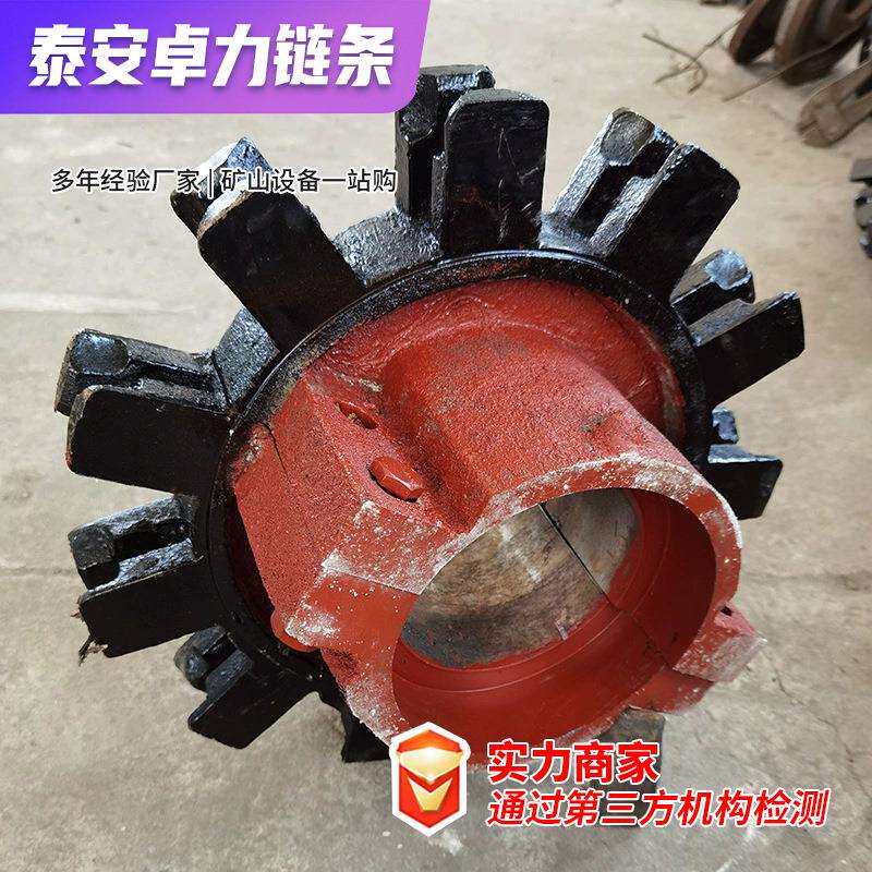 卓力链条链轮生产销售铸钢耐用环链板链斗式提升机链轮总成刮