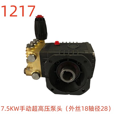洗特牌7.5KW手动超高压泵头（外丝18轴径28） 1217号 11.06KG