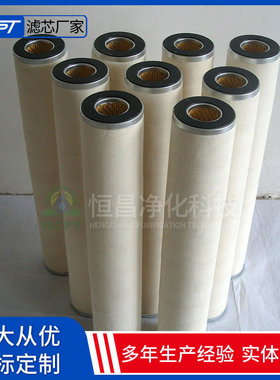 滤油机滤芯LXM-15-5 电站用聚结滤芯 进油泵出口滤芯