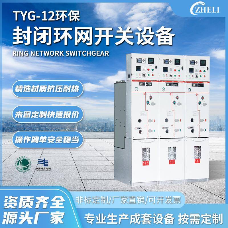 定制厂家TYG-12高压环网柜开闭所全绝缘固体环保充气柜高压开关柜
