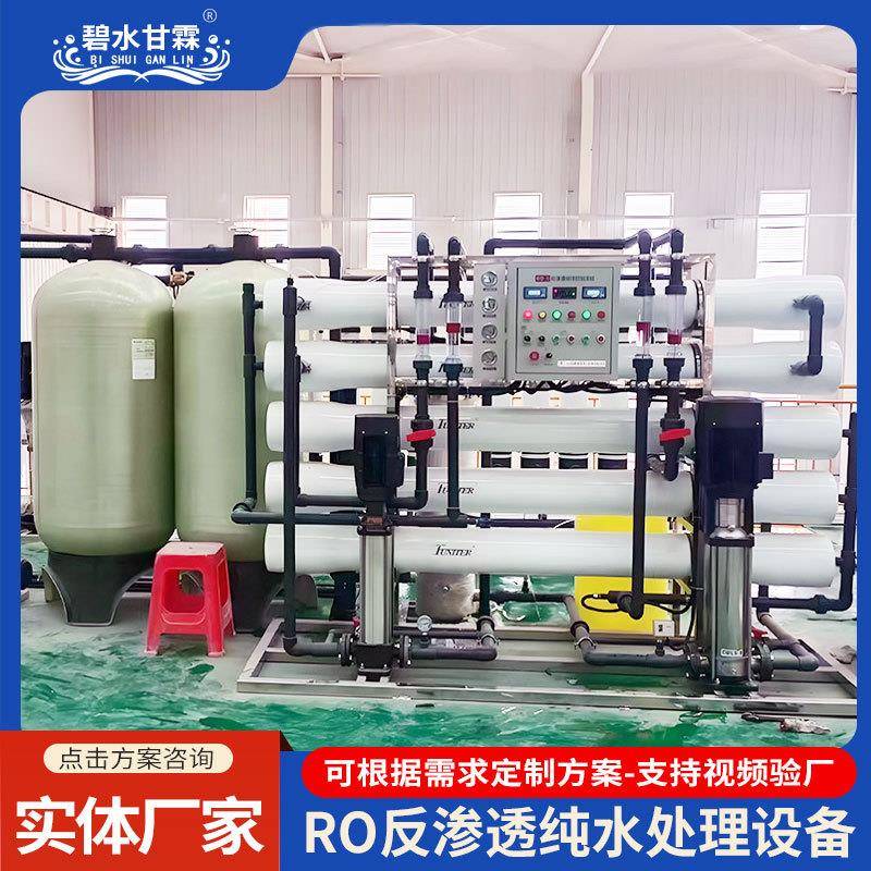 食品厂用小型工业净水器电渗析ro反渗透水处理净化水设备厂家