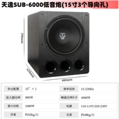 6000 Winner 4000 2000 8000大功率带功放专业有源低音炮 天逸SUB