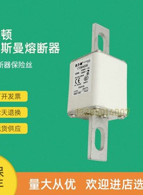 全新快速熔断器保险170nM4690 170M4691 170M4692 170M4693