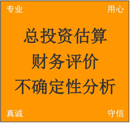 项目总投资估算 项目财务评价经济评价 不确定性分析 敏感性分析