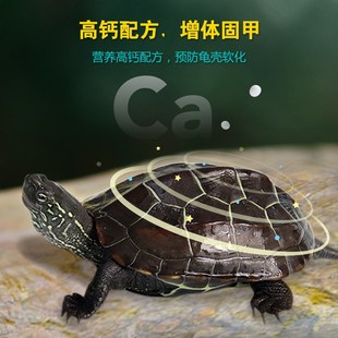 中华草龟专用龟粮乌龟饲料半水龟墨龟龟食通用Q食物小幼龟粮食龟