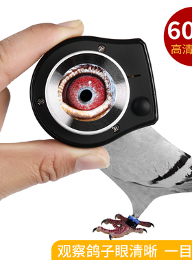 USB充电高清60倍紫光ledw灯放大镜看鸽子眼照布镜经纬向刻度显微