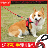泰迪柯基宠物用品中小型犬背心式 遛狗狗牵引绳子幼U犬胸背带狗链
