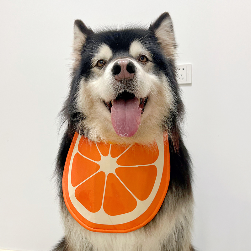 狗狗口水巾 夏季l车载可自立接口水围兜 阿拉斯加金毛萨摩中大型