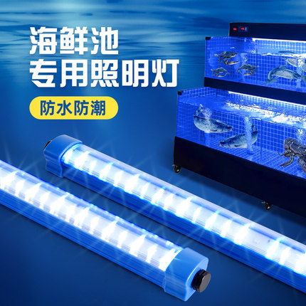 海鲜池灯管鱼缸专用LED防水x220饭店鱼池蓝白光水产水族养鱼照明