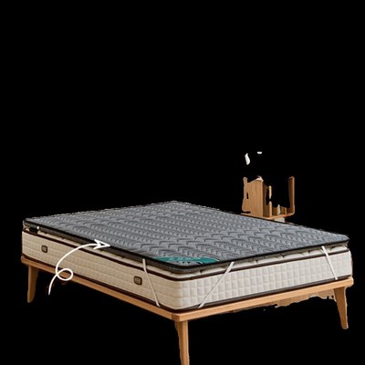 【新品】家用床垫加硬神器天然椰C棕护腰棕垫子薄棕榈不塌陷可定