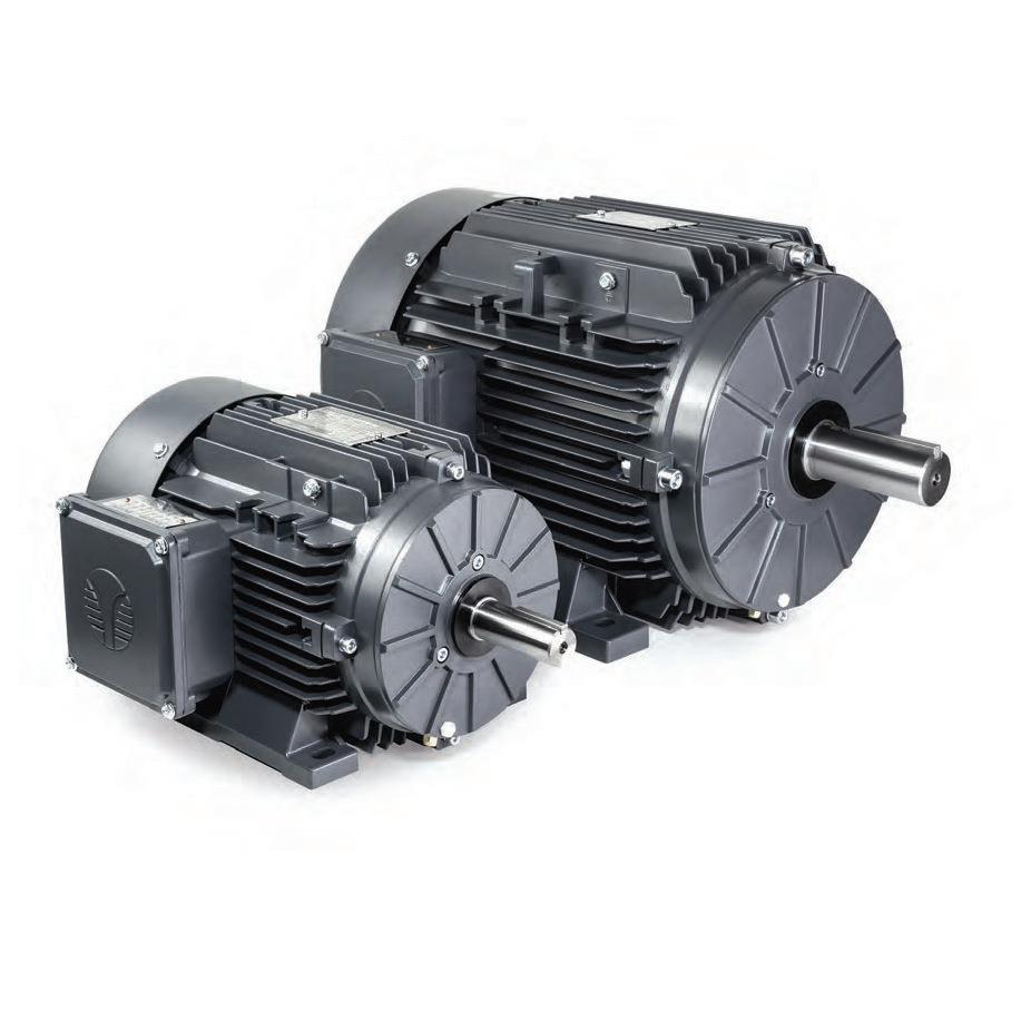 TECHTOP特波三相铝壳异步电机/NEMA标准/IEC2/IEC3