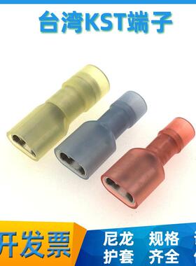 台湾KST尼龙FDFNYD1-250 2/5-110(5) 187(8) 端子2.8/4.8/6.3插簧