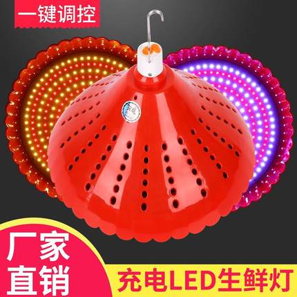 LED充电应急生鲜灯猪肉熟食灯移动摊位夜市摆摊水果超亮红白光