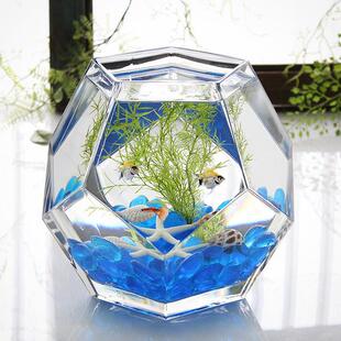 桌面小鱼缸加厚玻璃鱼缸水培花瓶金鱼缸热带鱼缸办公室鱼缸家用