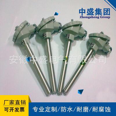 中盛热电阻炉壁热电阻WZPK-196L=300mmsus304