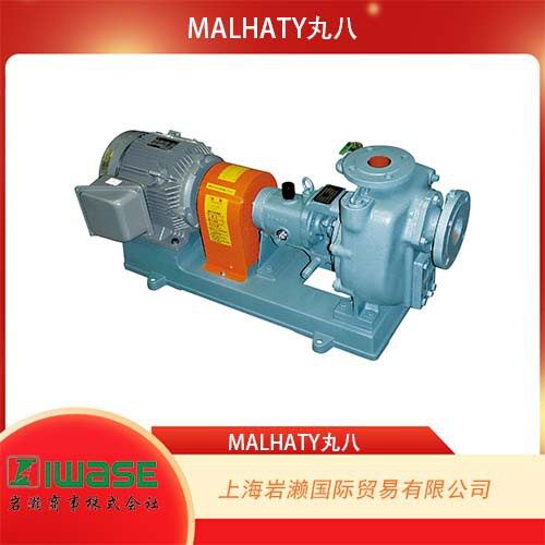 MALHATY丸八，铸铁制工艺用自吸式螺旋泵SL型