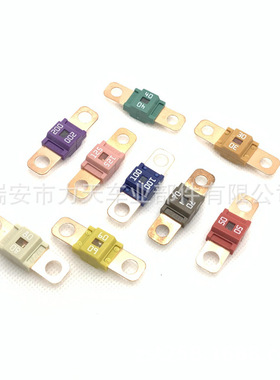 保险片30A40A50A80A125A150A200A58V M6