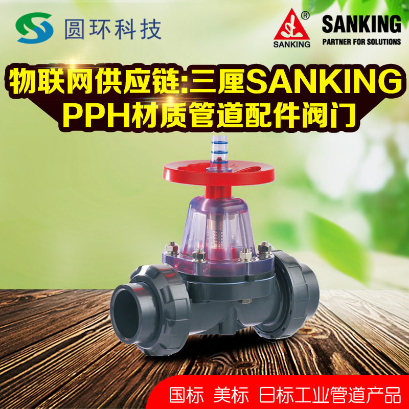 SANKING三厘PPH活接隔膜阀pph由令隔膜阀PPH隔膜阀开关防腐化工管