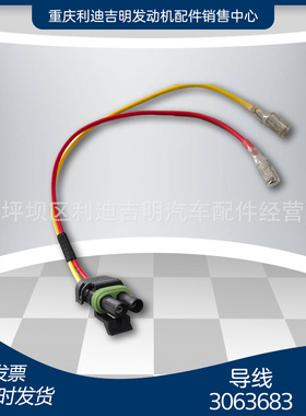 k19 k38发电机组配件 Nt855 发动机零件 导线3063683