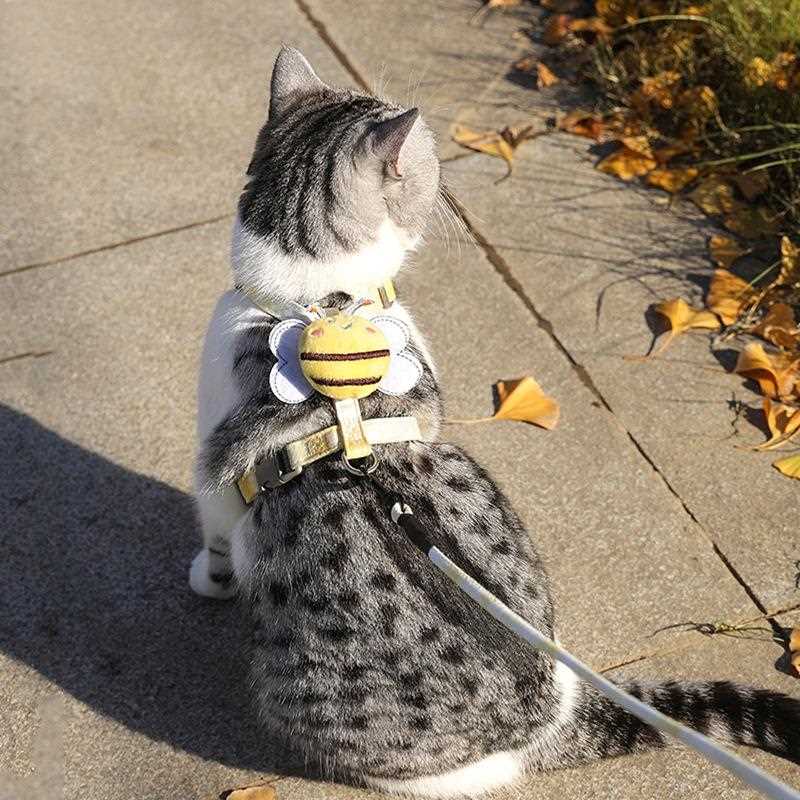 直销新款猫咪牵引绳防挣脱外出专用猫绳子宠物背带链子可调节网红