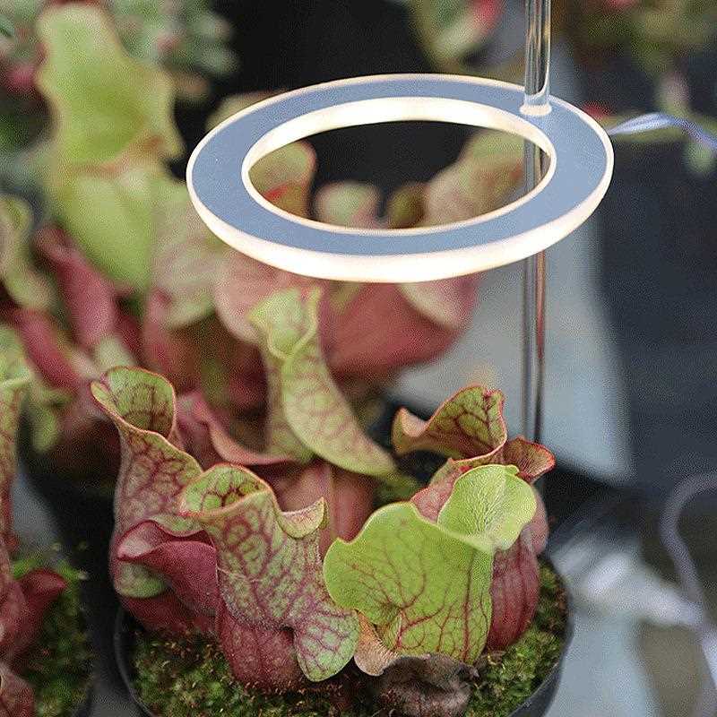 直销新款全光谱仿太阳LED植物生长灯 天使环多肉补光灯绿植花卉定