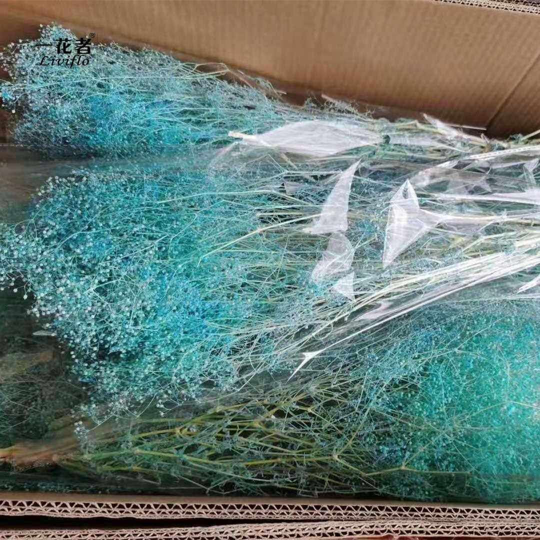 直销新款云南工厂多色干百万星婚庆用花50g 霞草满天星干花花束