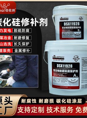 DSX11928耐腐蚀碳化硅耐磨修补剂脱硫浆液泵叶轮护板管道法兰弯头