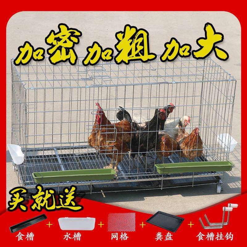 家用加密大号养殖鸡笼折叠鸡笼家用铁丝鸡笼鸡舍鸭笼兔笼狗笼A