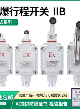 防爆行程开关限位Bh型DLXK LX5-15B/5d防爆型单摇臂lx5-D滚轮Z EX