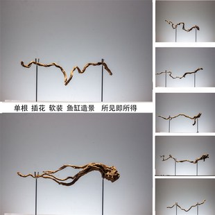 单枝条插花软装树根鱼缸造景杜鹃根根条装O饰摆件按图发鸟站杆木