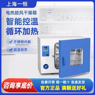 上海一恒 电热恒温鼓风干 干燥箱实验室烘箱烘干 干机DHG-9030A工