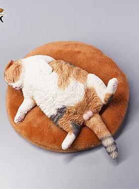 JXK官方正品1/6嗜睡猫仿真模型治愈系猫咪小摆件桌面装饰送礼收藏