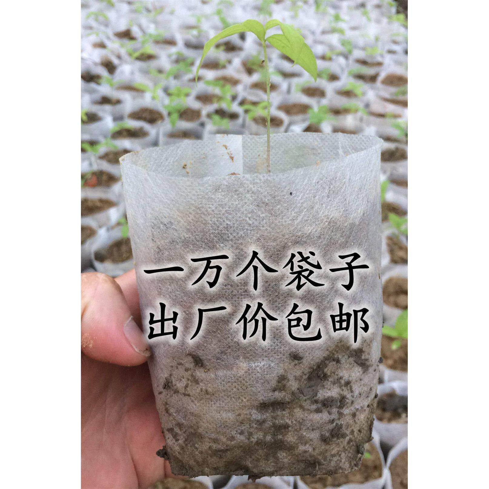 一万个包邮环保可降解不织布育苗袋树苗袋种植袋提高成活率布袋
