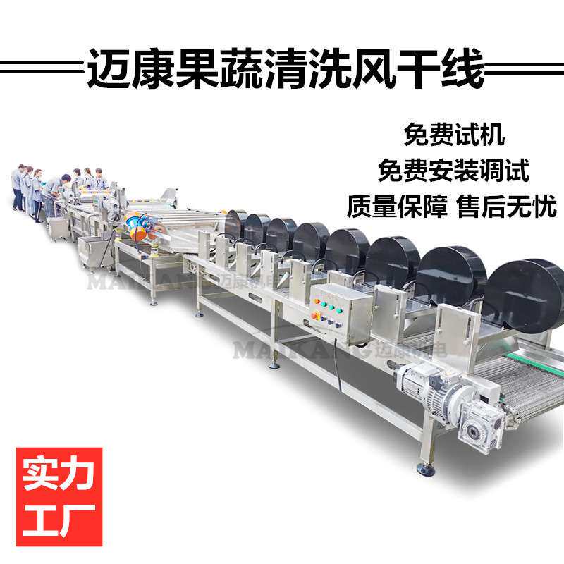大枣清洗风干设备 冬枣青枣清洗流水线 红枣清洗蒸煮机
