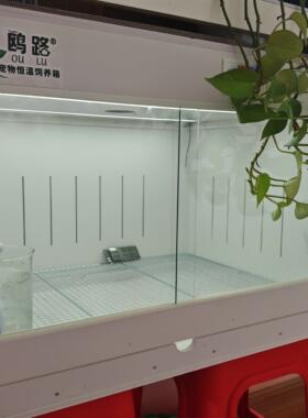 LED灯双温控循环风抽屉款宠物保温箱79*41*47大尺寸鹦鹉保温箱