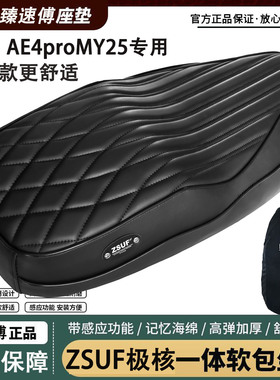 臻速傅适用AE4ProMY25/AEse坐垫改装舒适加厚减震复古座包靠背