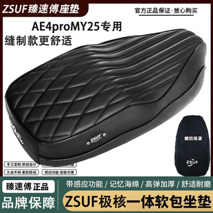 臻速傅适用AE4ProMY25/AEse坐垫改装舒适加厚减震复古座包靠背
